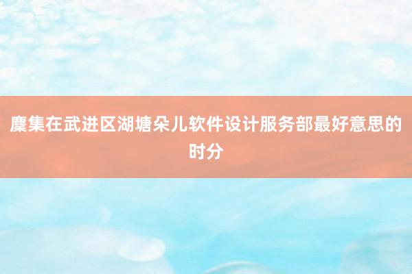 麇集在武进区湖塘朵儿软件设计服务部最好意思的时分