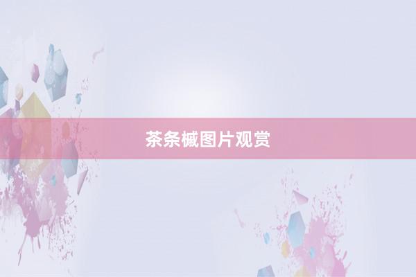 茶条槭图片观赏