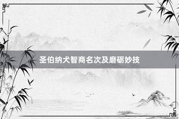 圣伯纳犬智商名次及磨砺妙技